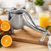 Manual Fruit Press