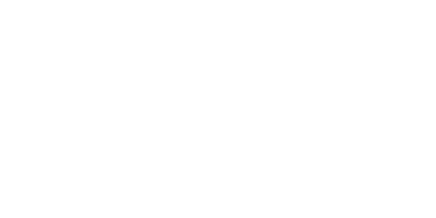 Logo-2